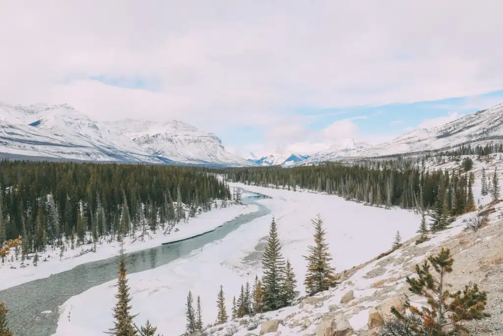 The Frozen Bubbles Of Abraham Lake
