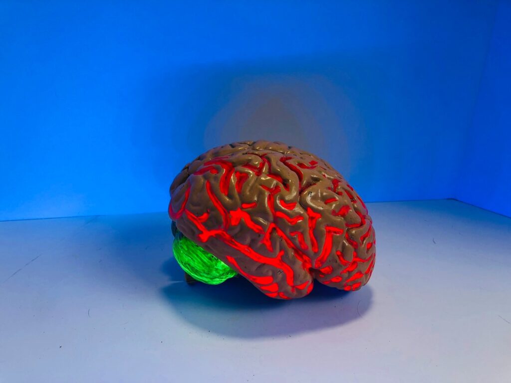 5 Fascinating Facts About the Human Brain