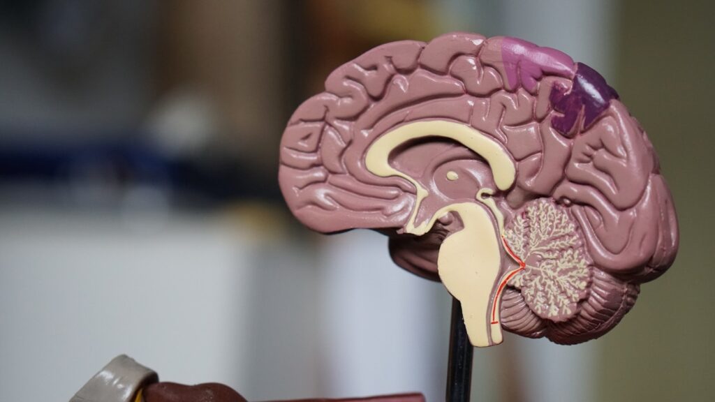 The Impact of Gratitude on Mental Health